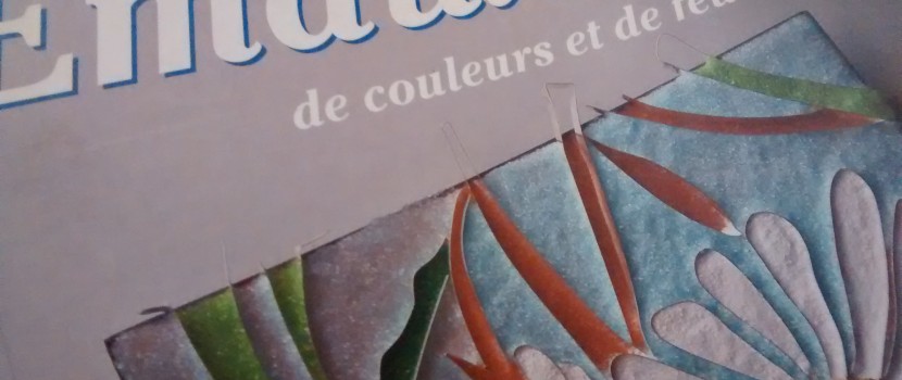 Livre – Emaux de couleurs et de feu